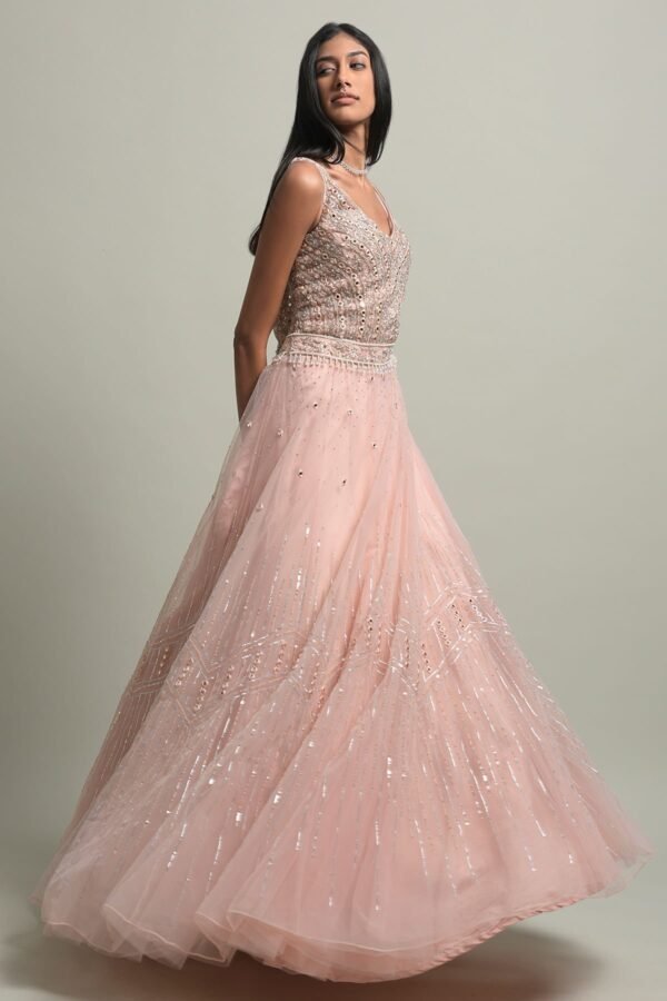 Light Peach Stone Embroidered Net Evening Gown